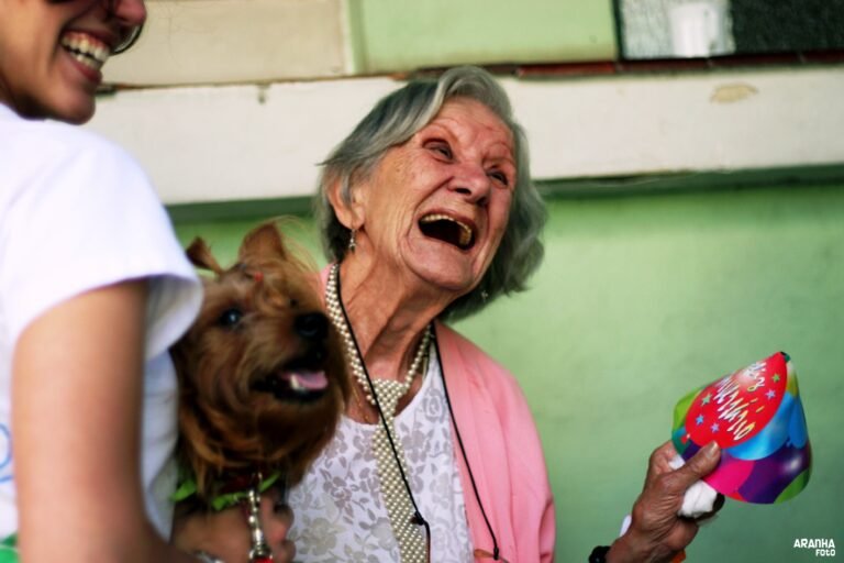 cachorros felizes em busca de lares