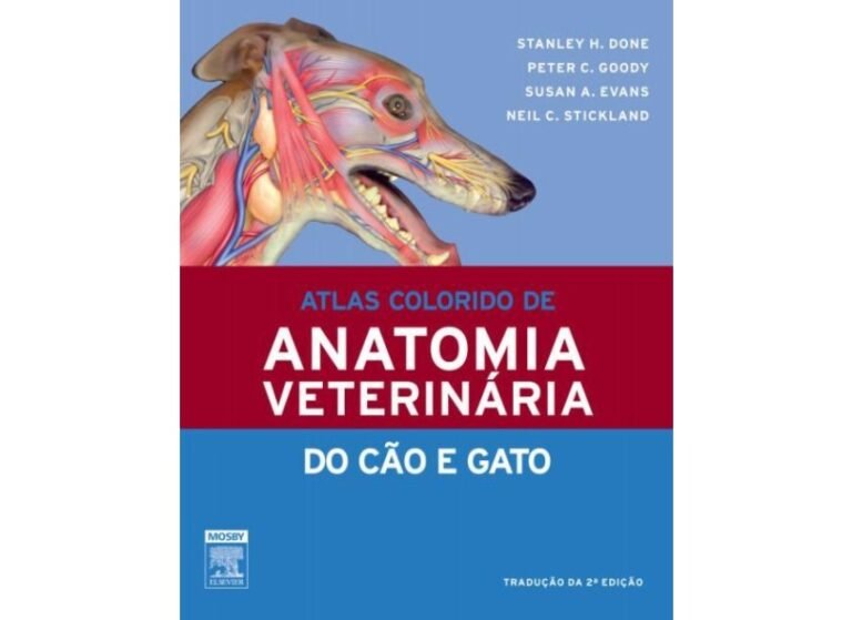 caes coloridos em um atlas anatomico