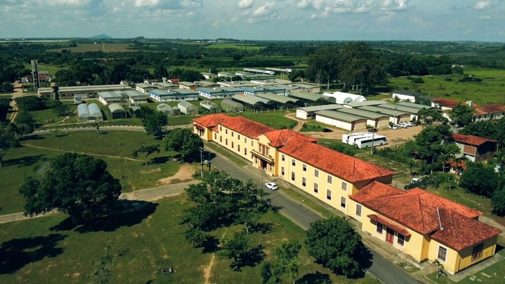 Quais são os cursos oferecidos pela UFRB em Cruz das Almas