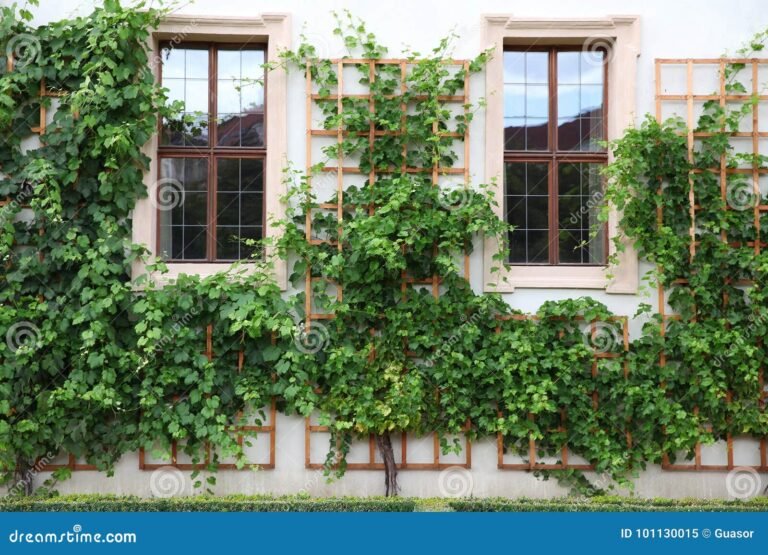 Como o FGTS Pode Impactar o Seu Futuro no Programa Minha Casa Minha Vida 14 casa com chave e plantas ao fundo