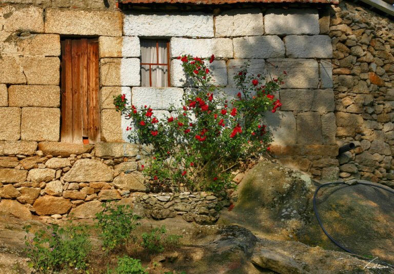 chaves e uma casa com flores ao redor