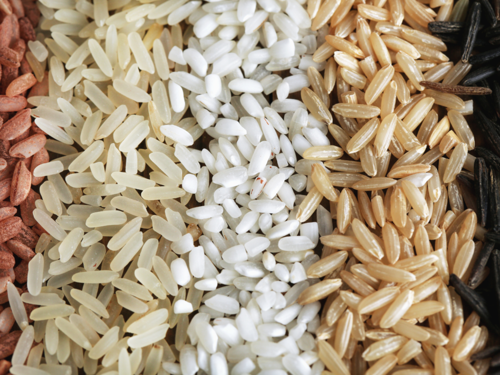 comparacao visual de graos de arroz