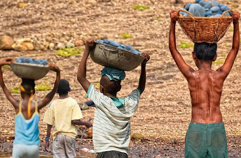 criancas trabalhando em ambiente rural