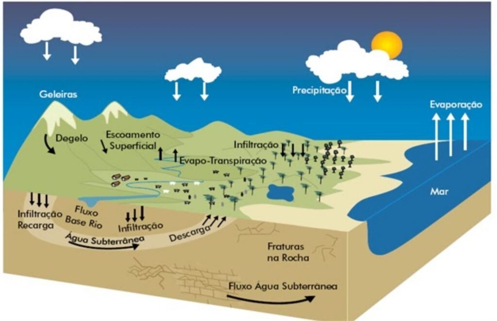 cursos em um ambiente natural de agua