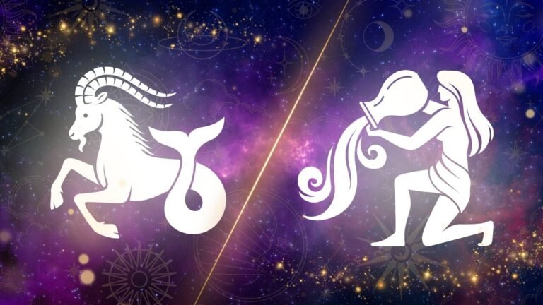 dois signos do zodiaco se entrelacando