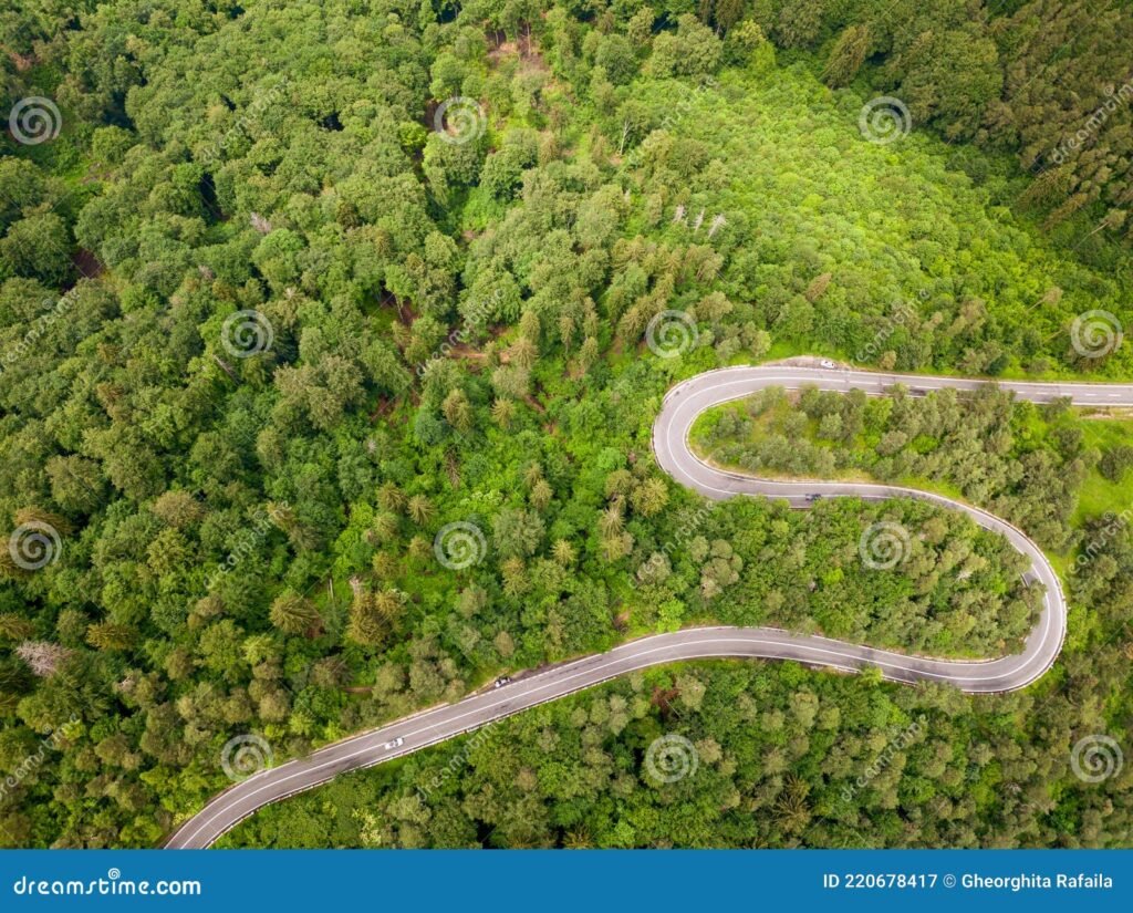 Qual a melhor rota para viajar de Rio a Campos do Jordão