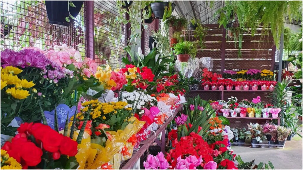 Onde Encontrar as Melhores Floriculturas na Boca do Rio