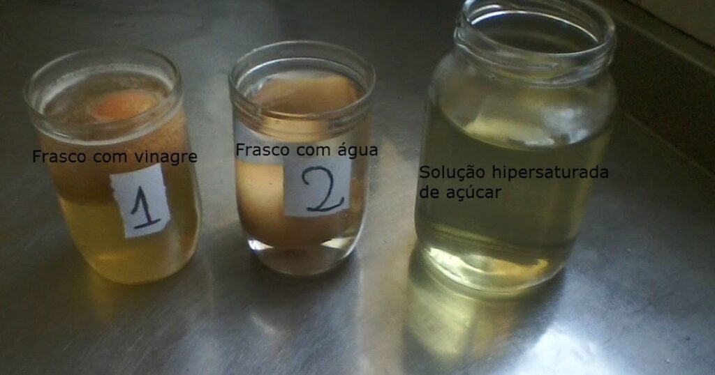 Como Baixar o pH da Água de Forma Eficiente e Segura