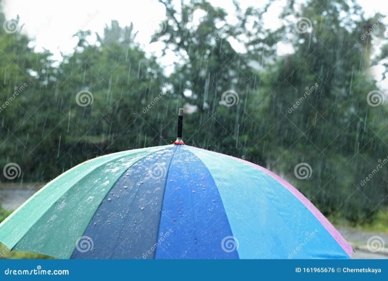 Qual a diferença entre guarda-chuva e guarda chuva 15 guarda chuva aberto em um dia chuvoso