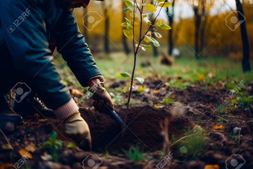 Como Podemos Contribuir Para Um Mundo Mais Bacana e Sustentável