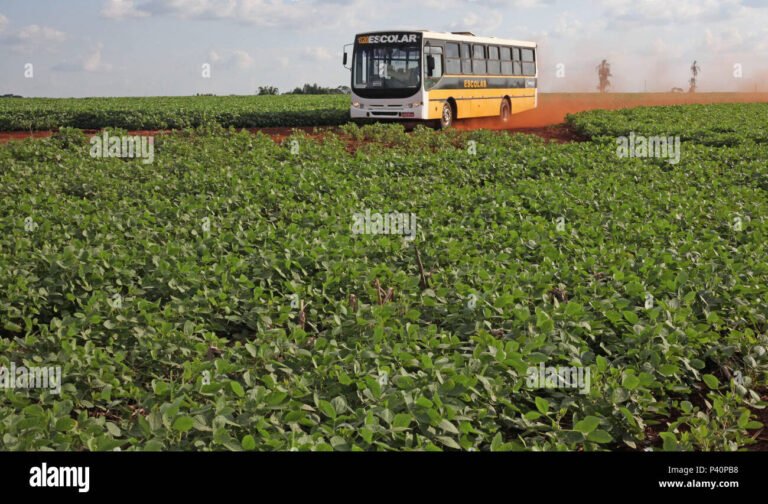 onibus em movimento em estrada rural