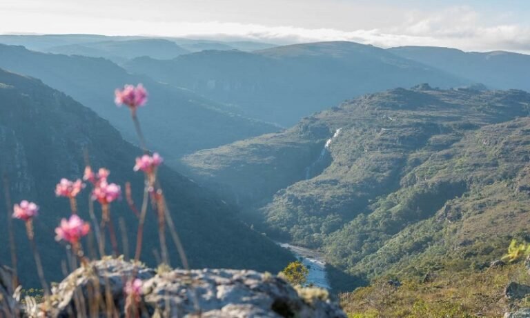 paisagem de montanhas e natureza exuberante