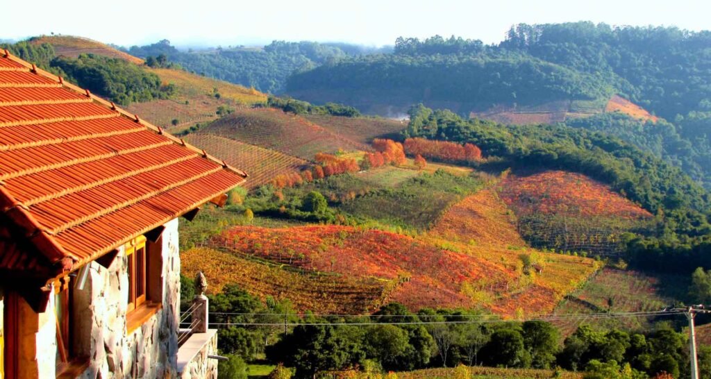 Onde Encontrar a Pousada Manga Rosa em São João Batista do Glória