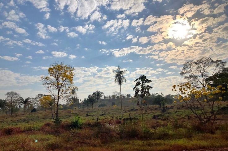 Qual é a previsão do clima em Canaã dos Carajás, PA