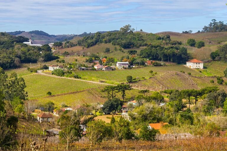 paisagem rural com chacaras e natureza