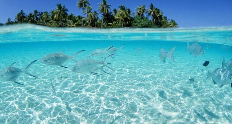 praia paradisiaca com aguas cristalinas 1