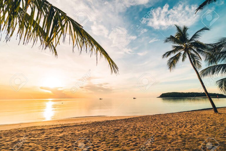 praia paradisiaca com coqueiros e sol