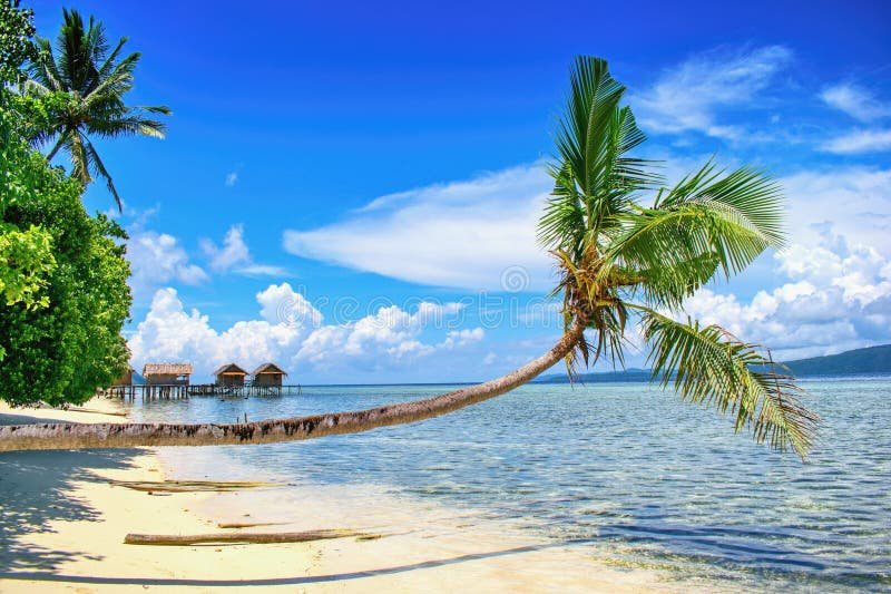 Onde encontrar a melhor pousada tropical em Barra do Garças