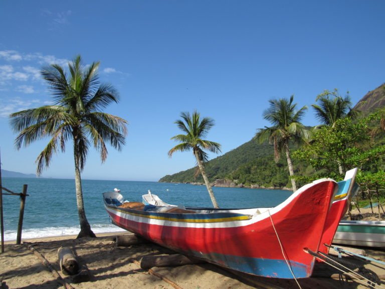 praia tranquila com coqueiros e barcos