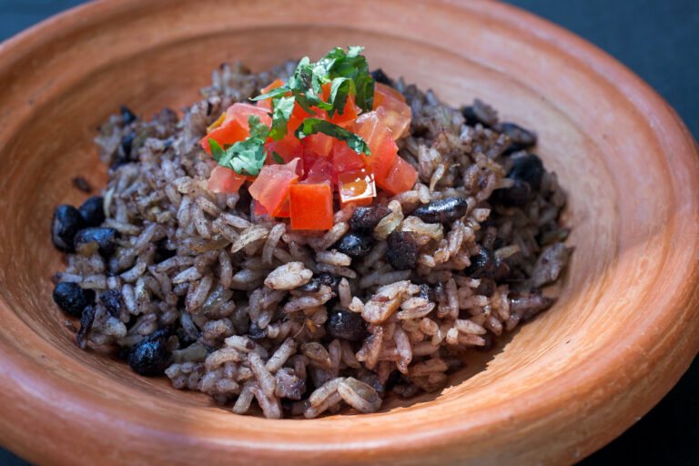 prato tipico da costa rica com arroz