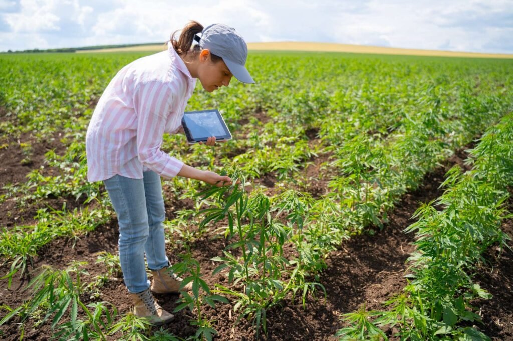 Como emitir a nota fiscal para produtor rural em MG