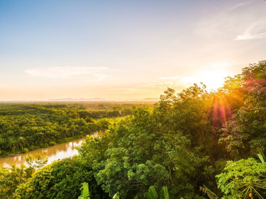 Como Ouvir a Rádio Nacional da Amazônia Ao Vivo pela Internet