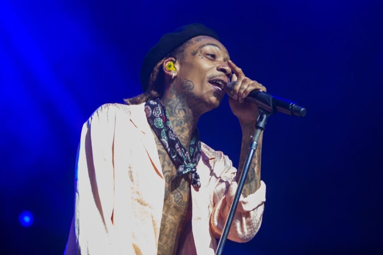 rapper em palco com publico vibrante