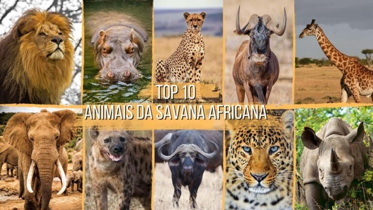 savana africana com fauna diversificada